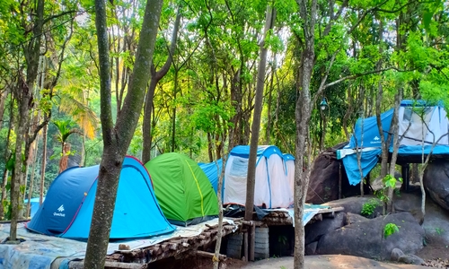 camping tent stay and trekking in wayanad